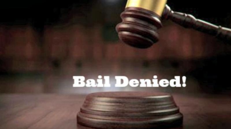 Delhi court today dismissed the bail application of a former Andhra Bank director