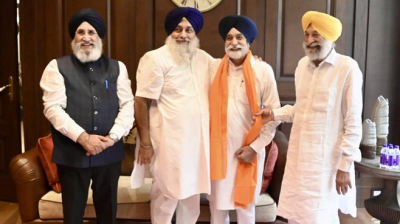 Sikandar Singh Maluka Returns to Shiromani Akali Dal, Set to Campaign in Ludhiana West Bypoll Sikandar Singh Maluka Returns to Shiromani Akali Dal, Set to Campaign in Ludhiana West Bypoll