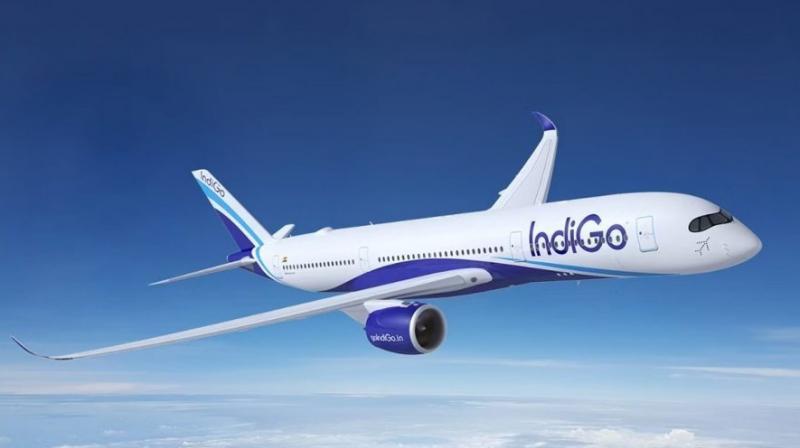 IndiGo Flight 6E 146 from Chandigarh to Lucknow Cancelled Due to Technical Issue IndiGo Flight 6E 146 from Chandigarh to Lucknow Cancelled Due to Technical Issue