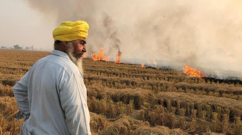 Barnala Admin Announces Several Rs 7 Lakh Lucky Draws For Farmers For Stubble Management (Representative Image, Image Courtesy: BBC) Barnala Admin Announces Several Rs 7 Lakh Lucky Draws For Farmers For Stubble Management (Representative Image, Image Courtesy: BBC)