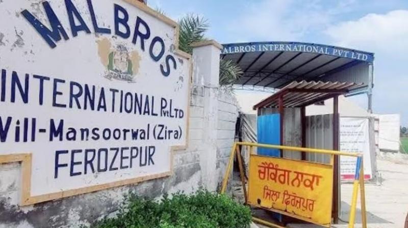 Zira Liquor Factory Case