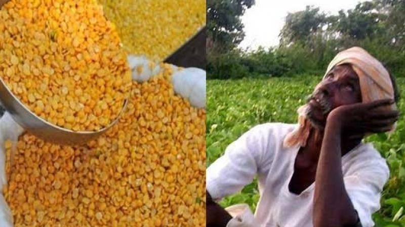 Maha announces financial aid for tur farmers Maha announces financial aid for tur farmers