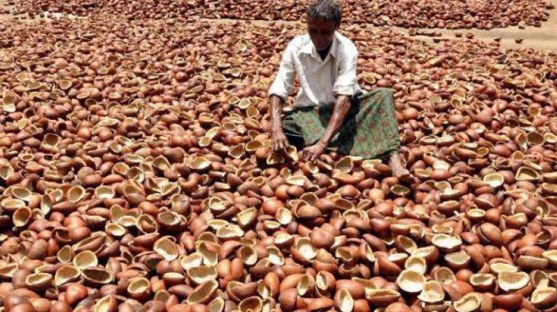 Select copra decline on subdued demand Select copra decline on subdued demand