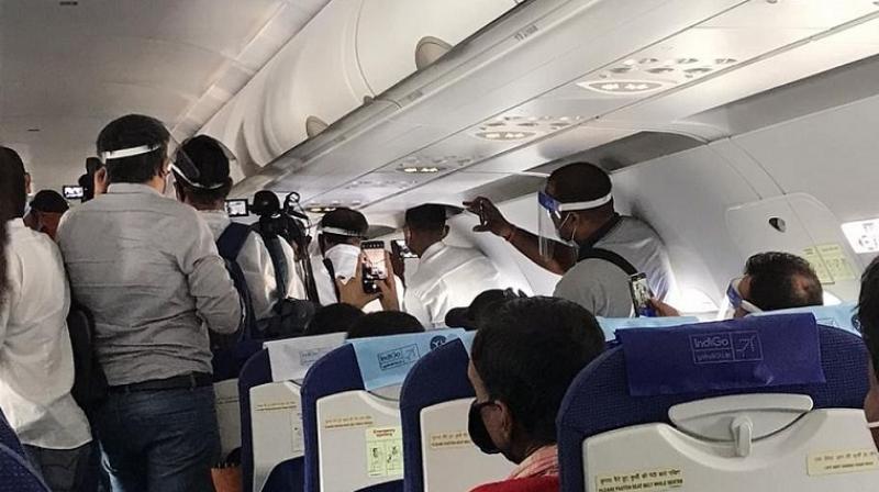 Flight Flight