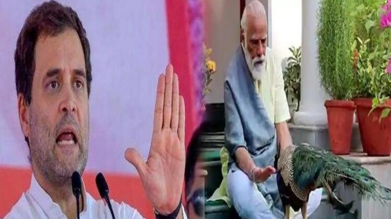 Rahul Gandhi and Narendra Modi Rahul Gandhi and Narendra Modi