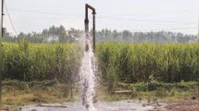 The new 62.5% figure suggests the intensity of this issue has grown more widespread or that sampling has become more comprehensive—either way, it signals an alert. File Photo.