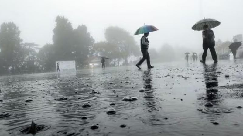 Punjab Weather Update: Heavy rain in several areas, yellow alert for two days