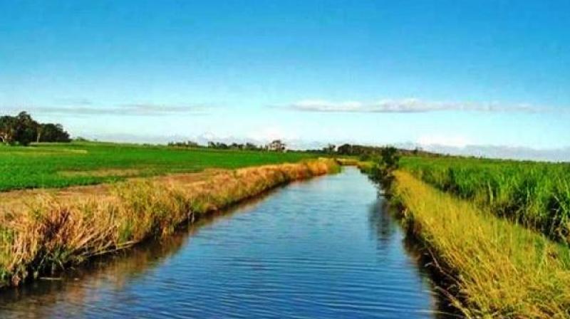 Rotattional Irrigation Programme 10 Dec Rotattional Irrigation Programme 10 Dec