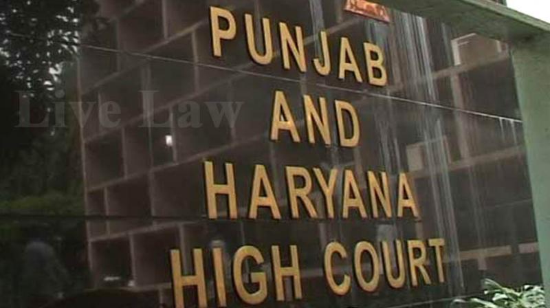 High Court Directs Punjab CS to Start Rehabilitation Project High Court Directs Punjab CS to Start Rehabilitation Project
