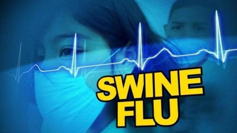162 deaths due to swine flu in Rajasthan