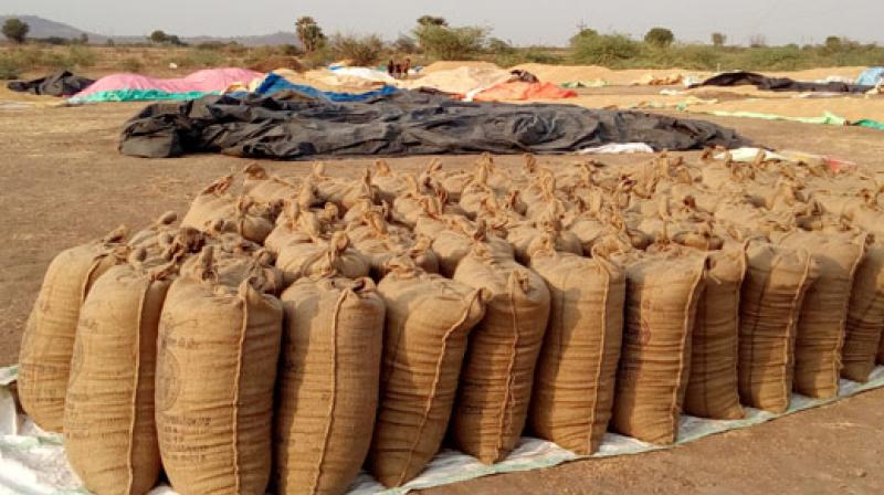 896357 MT PADDY PROCURED 896357 MT PADDY PROCURED