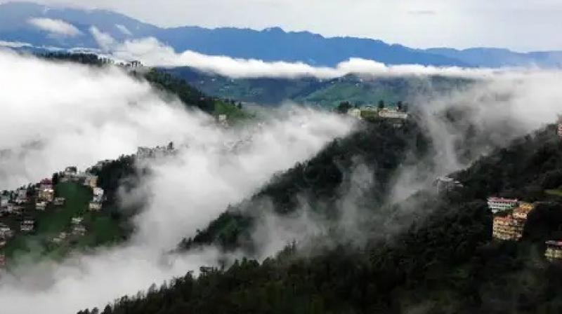 Uttarakhand Weather Updates: 8 Districts Under Yellow Alert on June 25 Till 3 PM (Image Courtesy: The weather channel) Uttarakhand Weather Updates: 8 Districts Under Yellow Alert on June 25 Till 3 PM (Image Courtesy: The weather channel)
