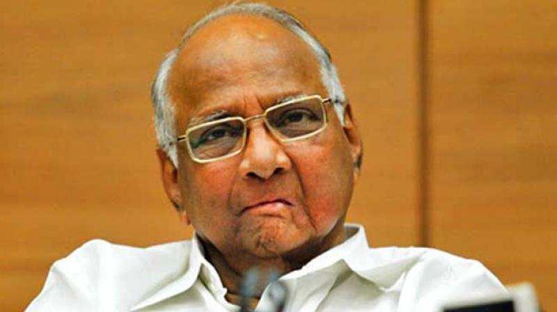 NCP chief Sharad Pawar NCP chief Sharad Pawar