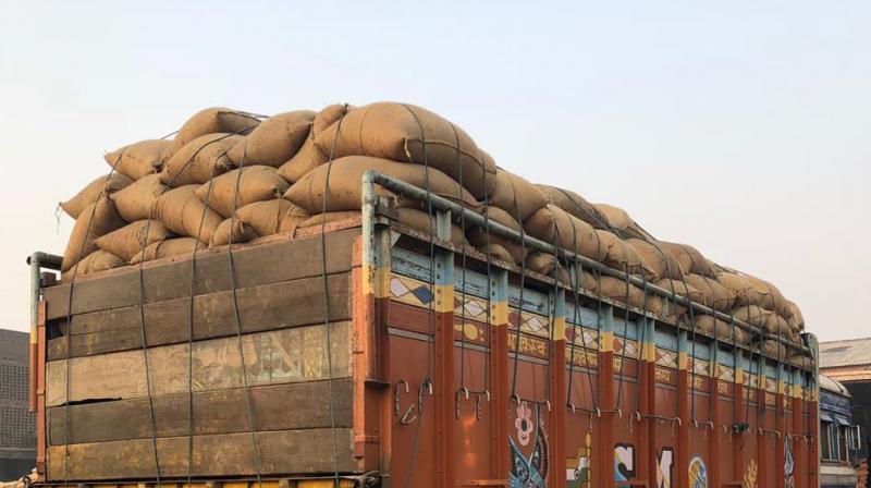 17 trucks full of  nearly 12500 bags of paddy seized