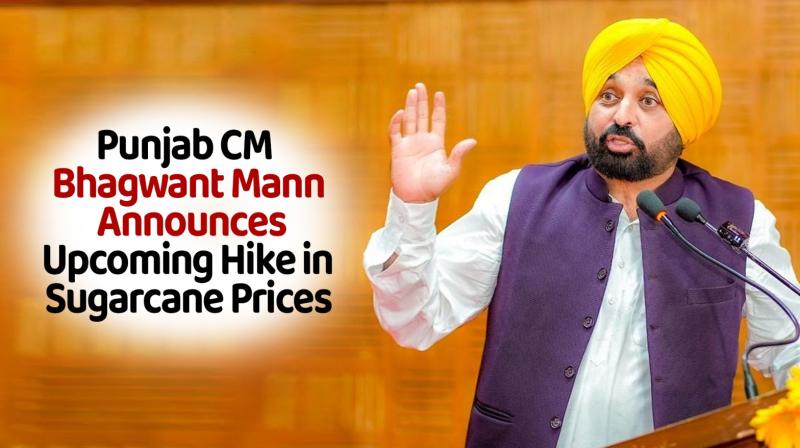 Punjab CM Bhagwant Mann Latest News Punjab CM Bhagwant Mann Latest News