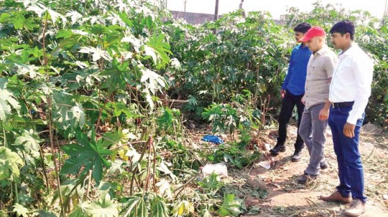 3-yr-old girl's body recovered from bushes
