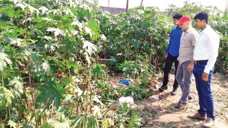 3-yr-old girl's body recovered from bushes 3-yr-old girl's body recovered from bushes