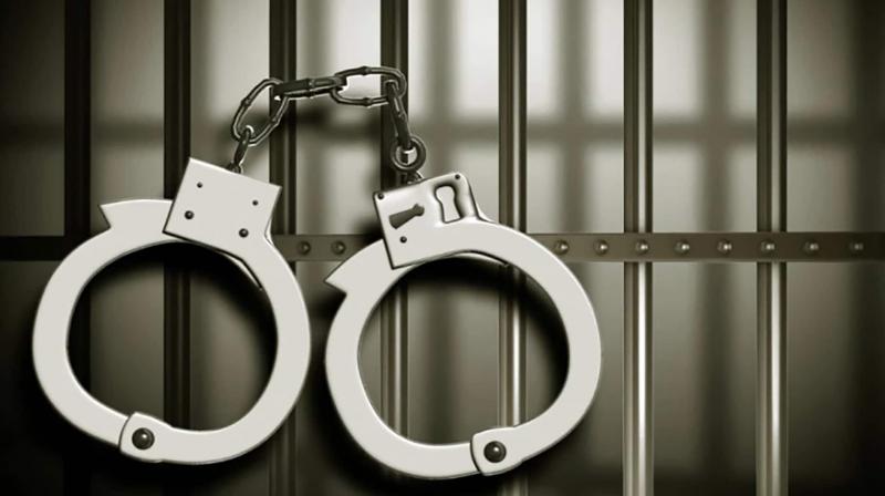 UK Kabaddi Tournament Violence: 6 Punjabis among 7 convicted of violent disorder