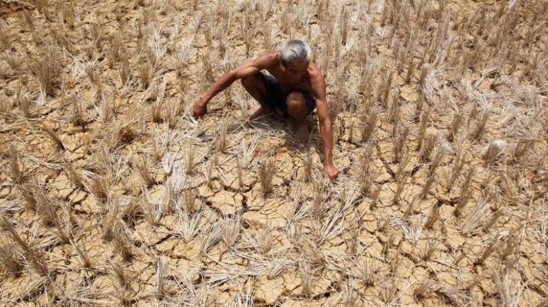 Farmer commits suicide Farmer commits suicide