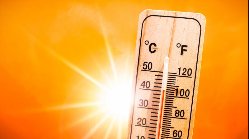 Punjab and Haryana Brace for Heatwave From May 21 to 23, Temperatures Soar to 46°C Punjab and Haryana Brace for Heatwave From May 21 to 23, Temperatures Soar to 46°C