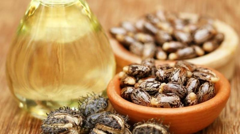 Lacklustre Vashi oils and oilseeds