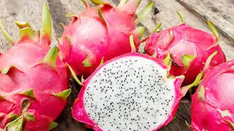 Dragon fruit Dragon fruit