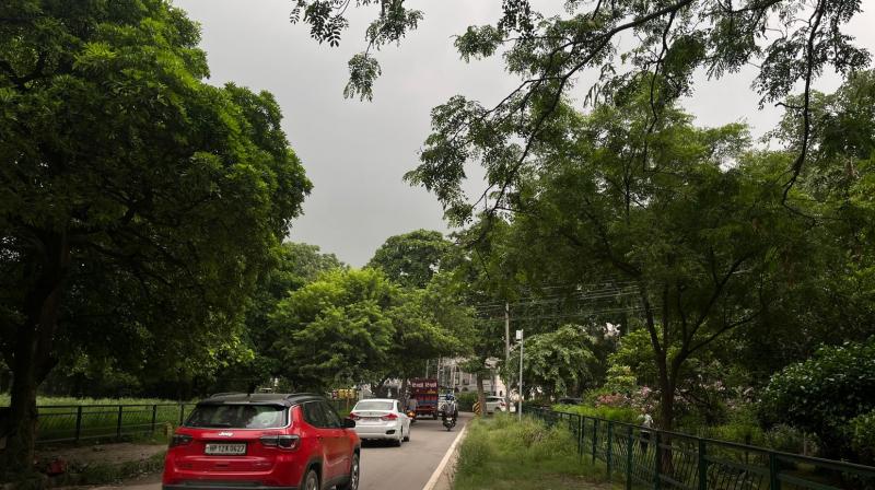 Punjab Weather Update: IMD Issues Yellow Alert for One District; Rainfall Likely Over Eastern Districts Punjab Weather Update: IMD Issues Yellow Alert for One District; Rainfall Likely Over Eastern Districts