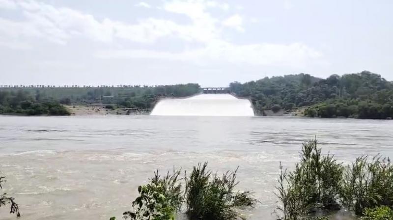 Pong Dam 40,000 cusecs of water released into the Beas River after 6 AM Thursday Pong Dam 40,000 cusecs of water released into the Beas River after 6 AM Thursday
