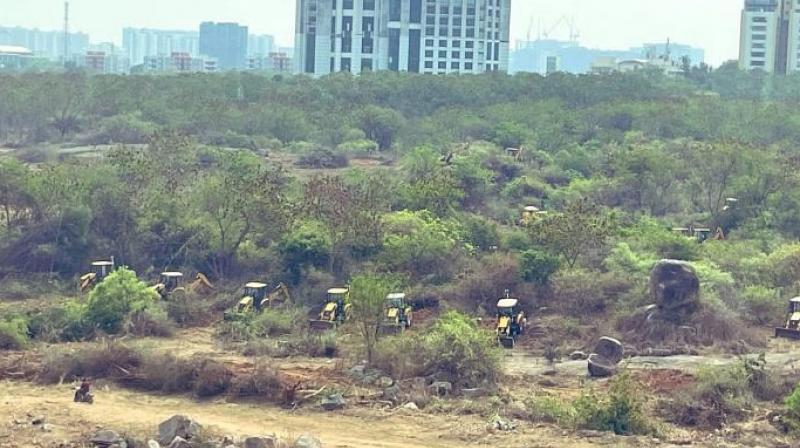 Supreme Court Orders Interim Report on 400-Acre Deforestation in Telangana. (Credit: the print) Supreme Court Orders Interim Report on 400-Acre Deforestation in Telangana. (Credit: the print)