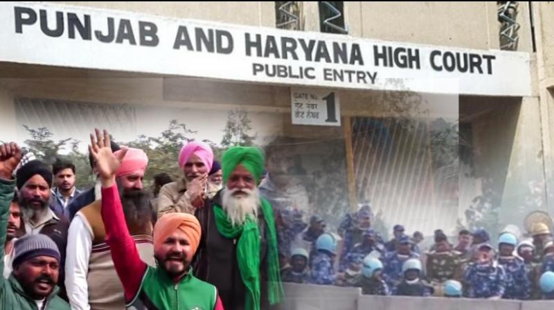 Farmers Protest 2023: "Why are you bothered?" HC questions Haryana for blocking roads Farmers Protest 2023: "Why are you bothered?" HC questions Haryana for blocking roads