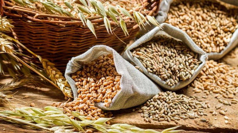 No change in foodgrain prices