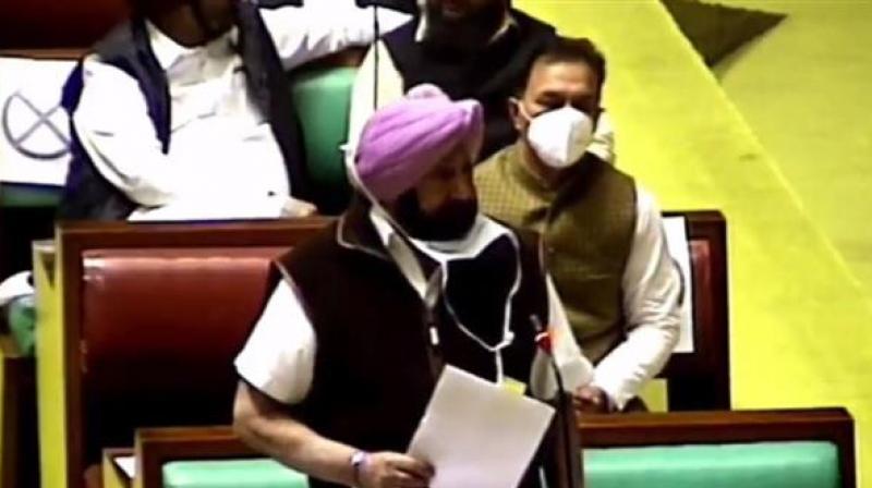Capt Amarinder Capt Amarinder
