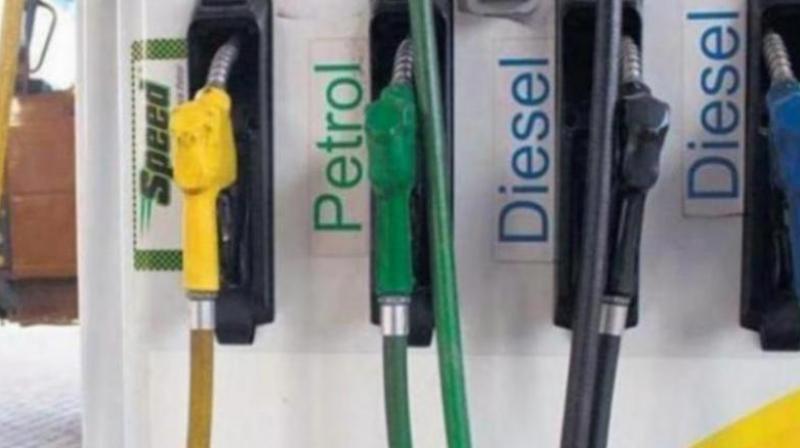 Petrol and Diesel