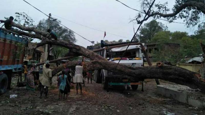 Toll rises to 38 in UP dust storm Toll rises to 38 in UP dust storm