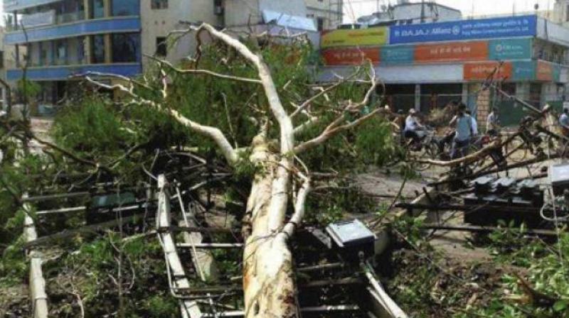 Thunderstorm claims four lives in Bihar Thunderstorm claims four lives in Bihar