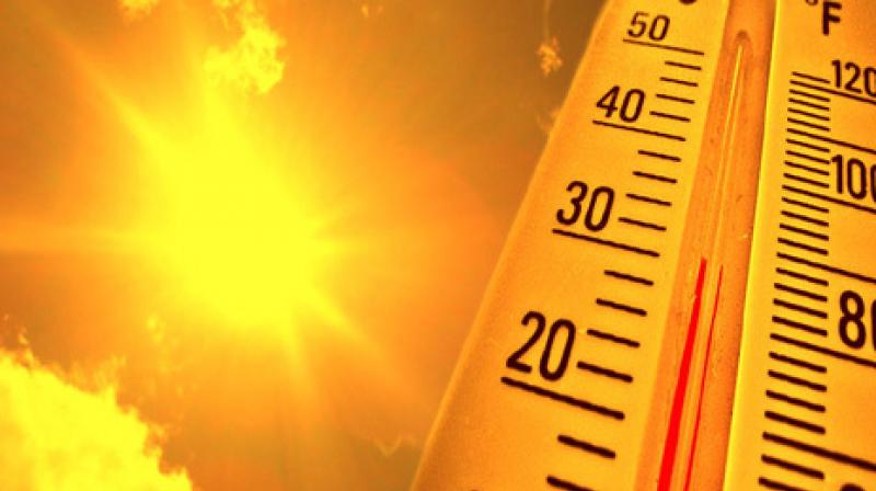 Heat conditions prevail in Jammu Heat conditions prevail in Jammu