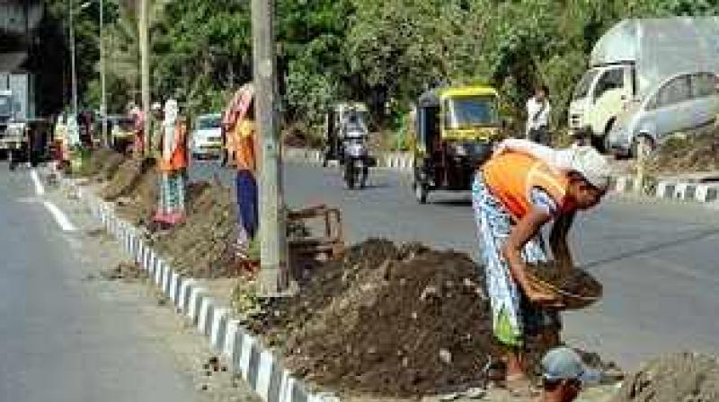 BMC justifies nod granted to pvt agencies to trim trees BMC justifies nod granted to pvt agencies to trim trees