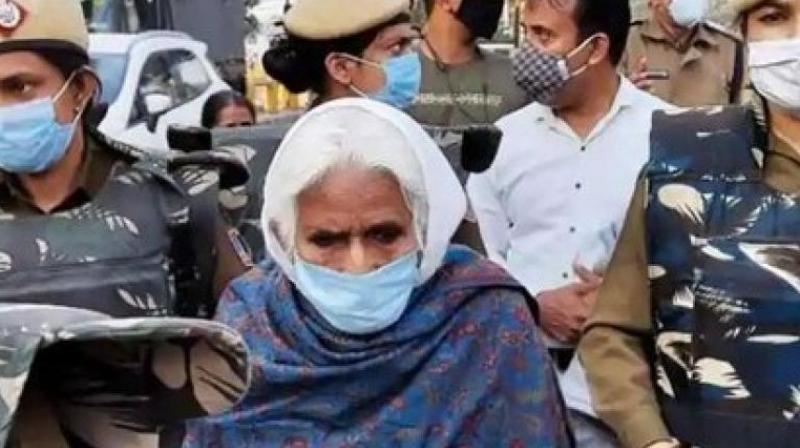 Bilkis Dadi Bilkis Dadi
