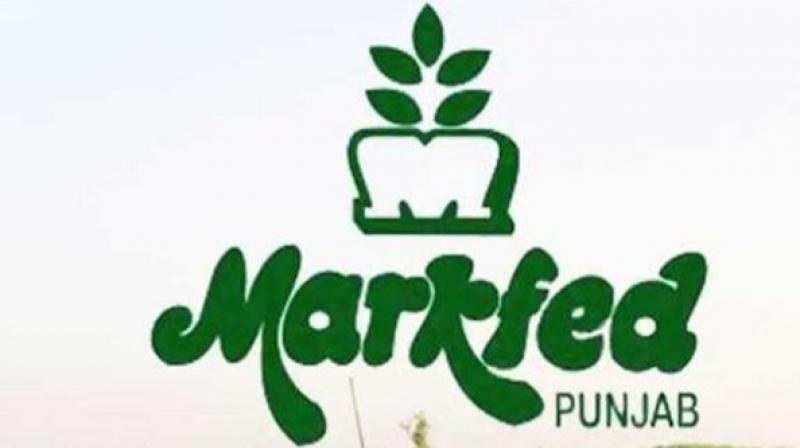 Markfed Markfed