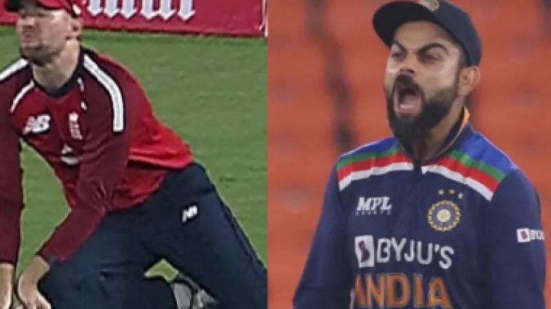 Virat Kohli Virat Kohli