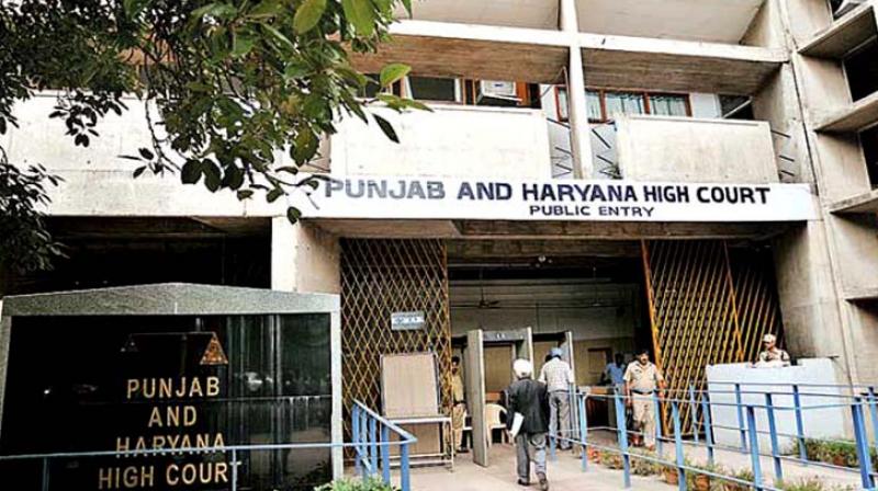 Punjab Govt Files Review Petition Against BBMB in High Court Over Water Release Order Punjab Govt Files Review Petition Against BBMB in High Court Over Water Release Order