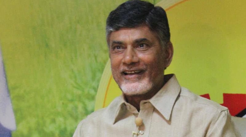 Chief Minister N Chandrababu Naidu