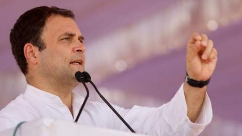 Congress President Rahul Gandhi Congress President Rahul Gandhi