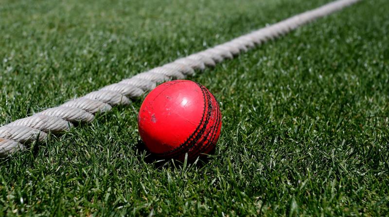BCCI goes 'green' by joining hands with UN BCCI goes 'green' by joining hands with UN