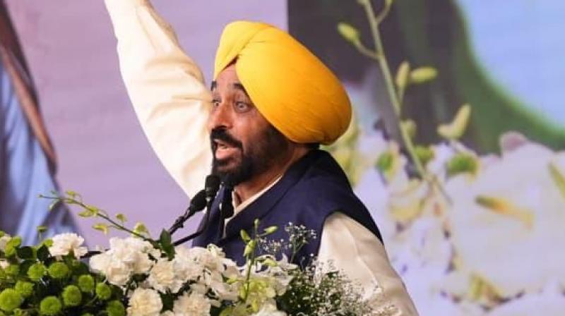 CM Bhagwant Mann Hands Over Appointment Letters to Youths in Punjab Power Corporations