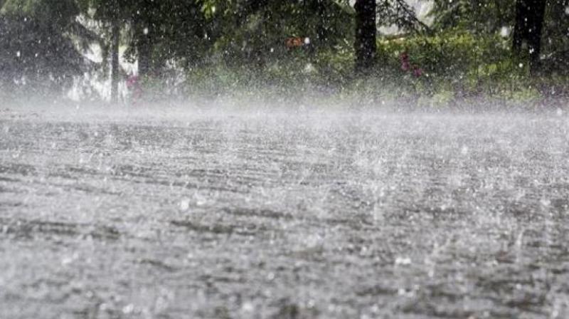 Rain in Punjab 