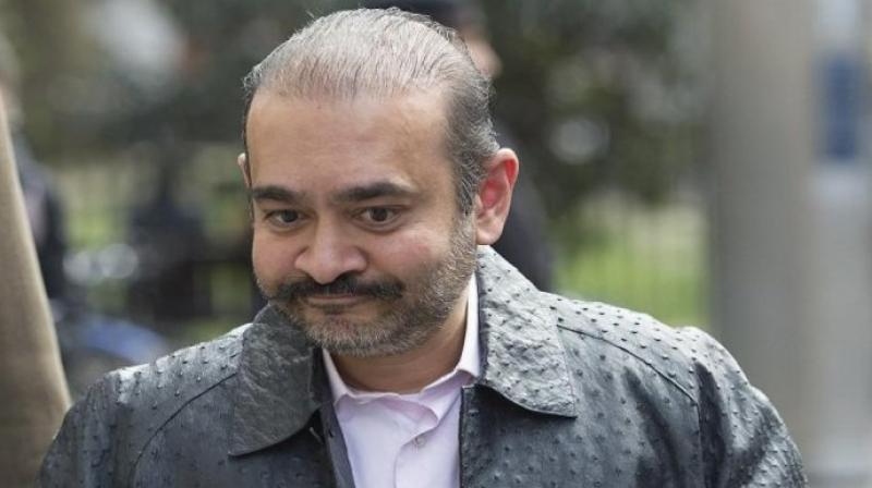 Nirav Modi