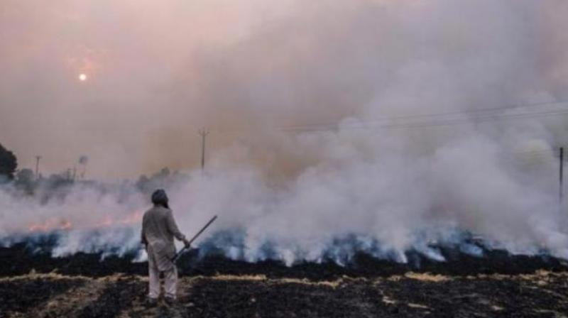 Stubble Burning Stubble Burning