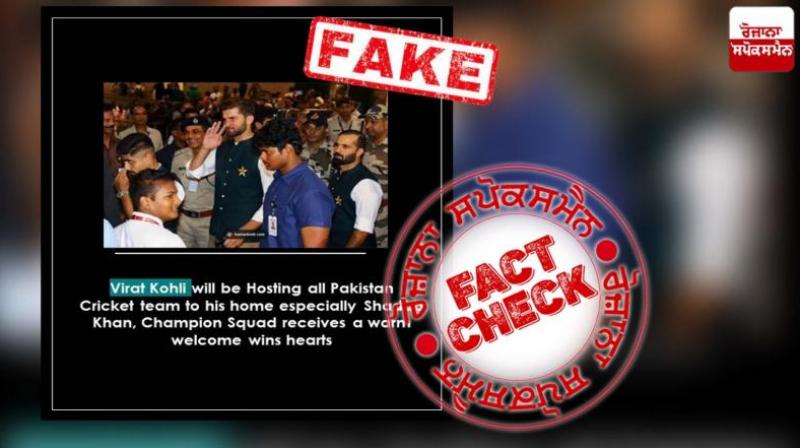 Fact Check Report 