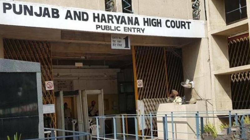 Punjab and Haryana HC 